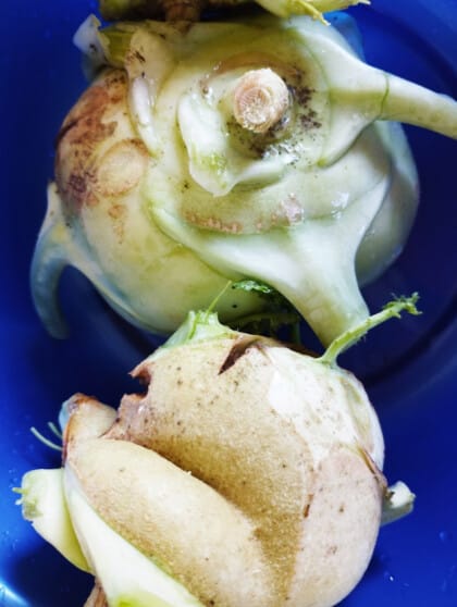 Cantine Les Bons Restes