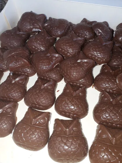 hiboux en chocolat