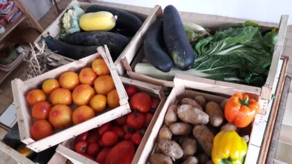 glanage cagettes de légumes tomates courgettes poivrons choux fleur