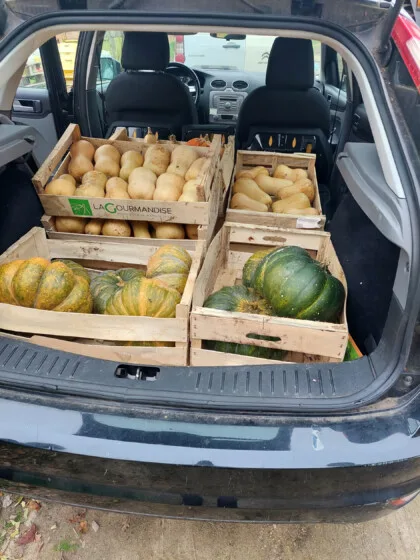 cagettes courges glanage