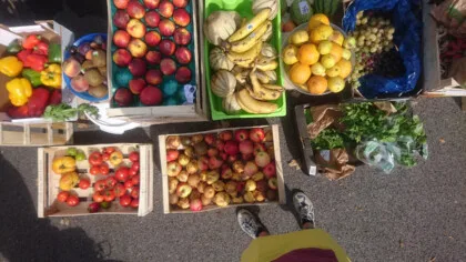 fruits et légumes : poivrons kiwi pommes melons bananes oranges citrons raisin tomates glanage