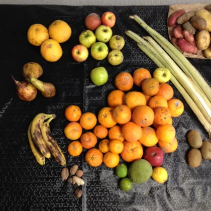 glanage de fruits : poires pommes bananes