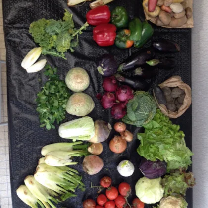 glanage légumes : choux oignons poivrons salades tomates endives pommes de terre