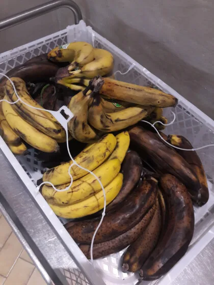 bananes, glanage