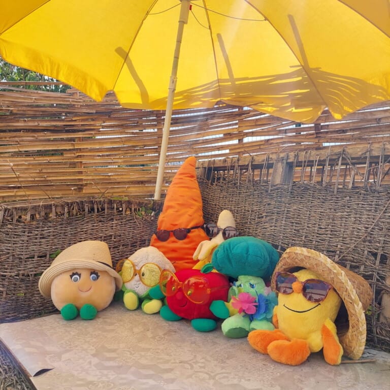 Les p’tits choux des Bons Restes, rejoins nous pour soutenir l’asso