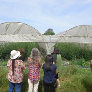 visite producteur serre culture biologique