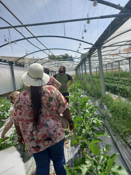 visite producteur serre culture biologique